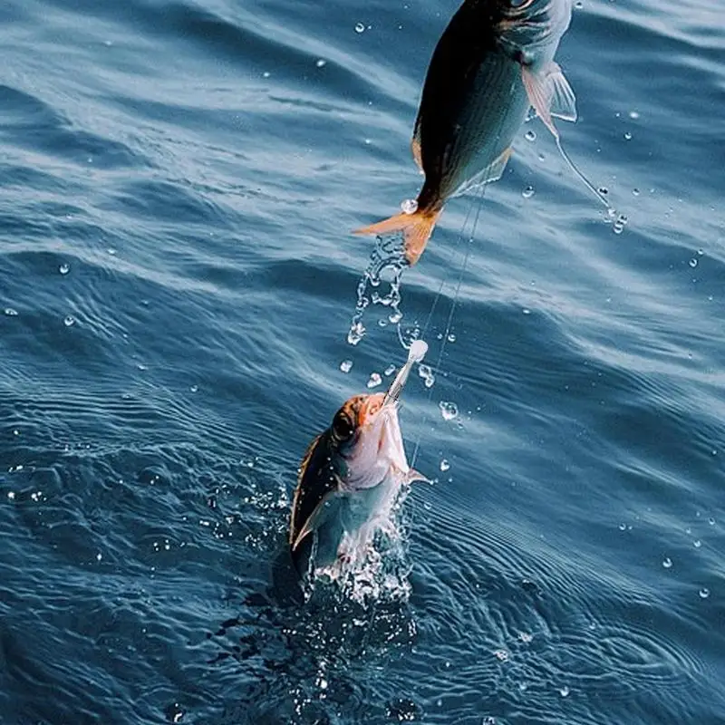 Veelzijdig Hardbait Vishaak 12,5 cm - Perfect voor Diverse Wateren 2