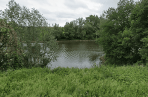 Visstekken Gelderland