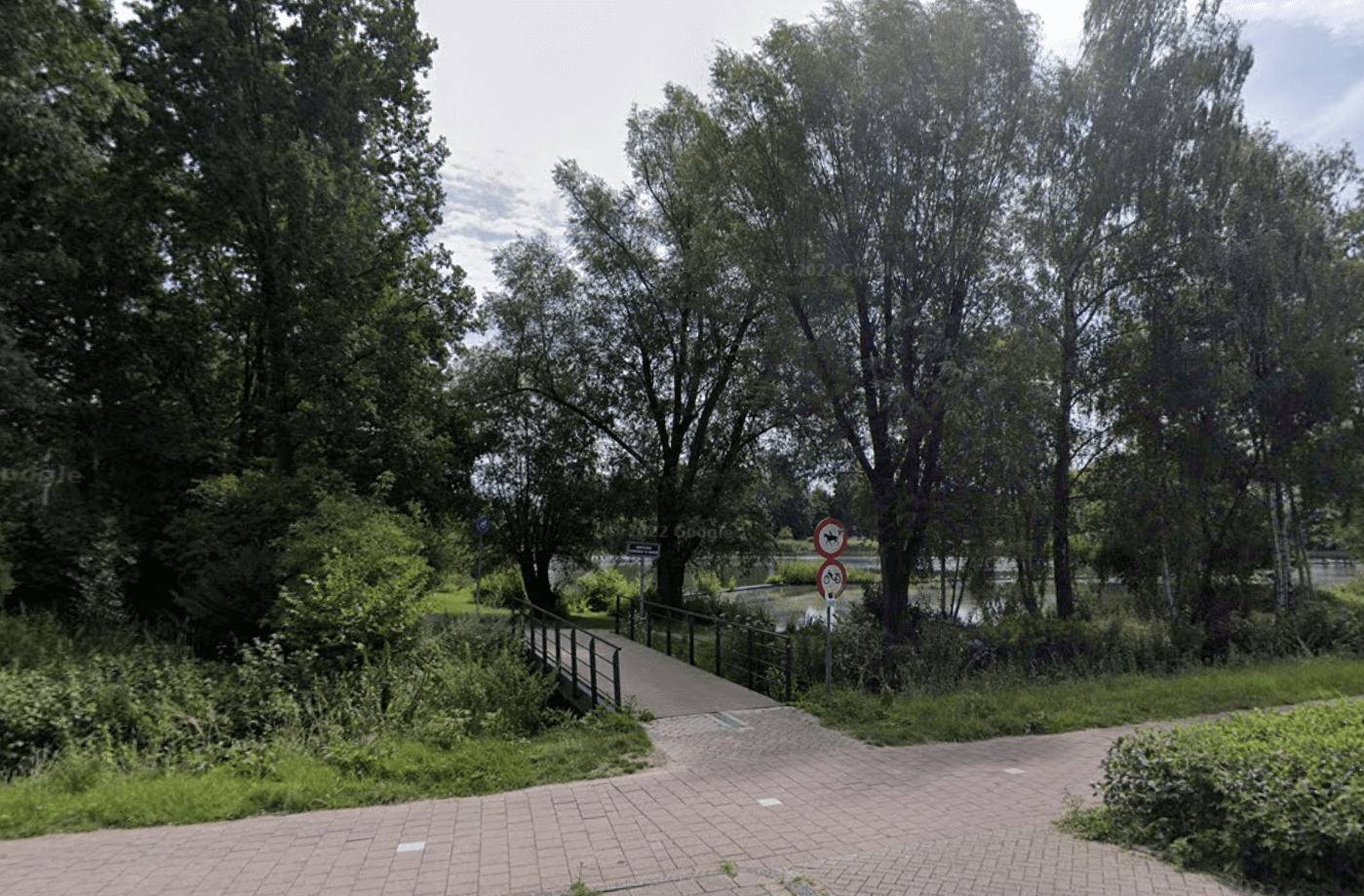 Surfvijver - Veenendaal
