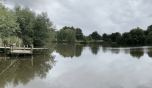 Visstekken in Noord-Brabant