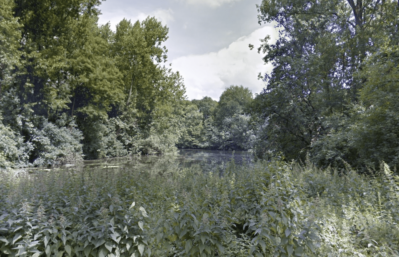 Amsterdamse Bos