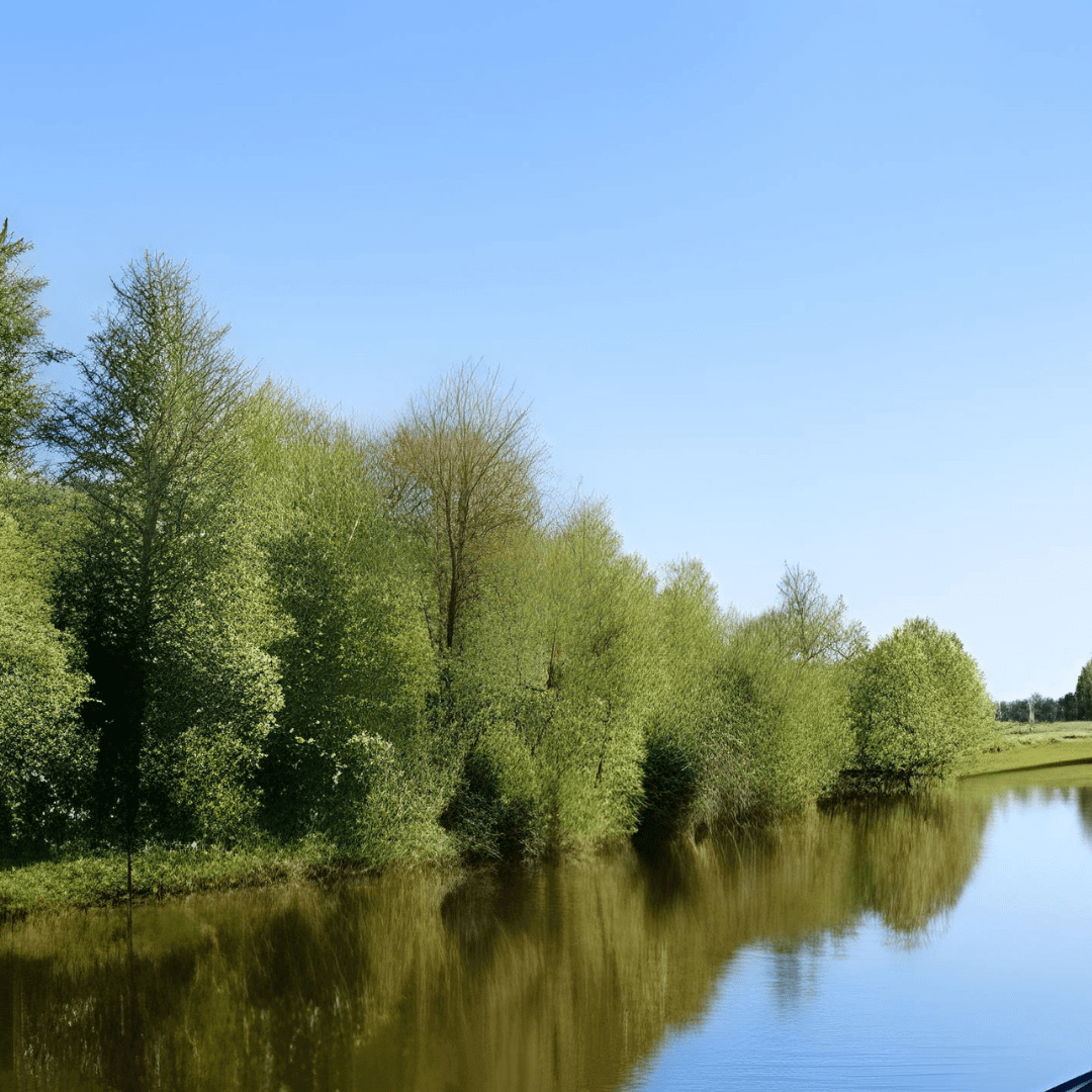 Snoekvissen in Nederland