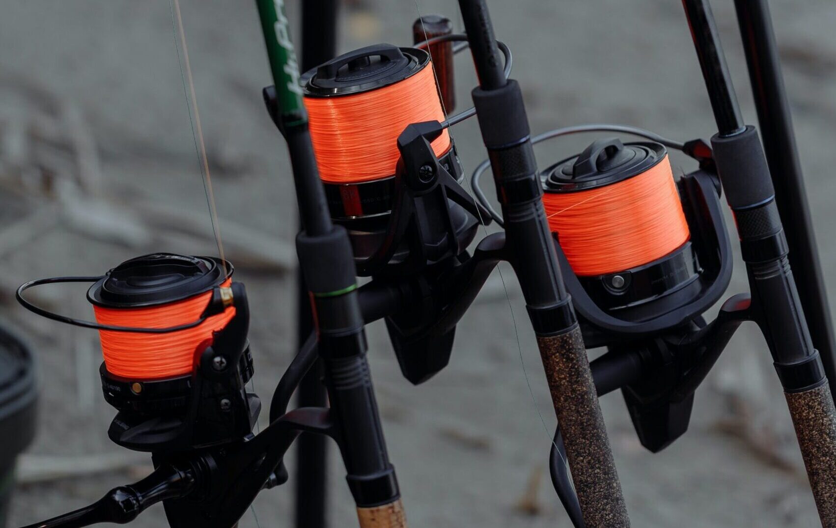 Van meer karpers per sessie