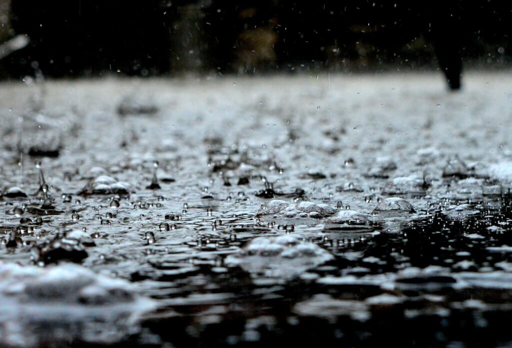 Regen bij karpervissen