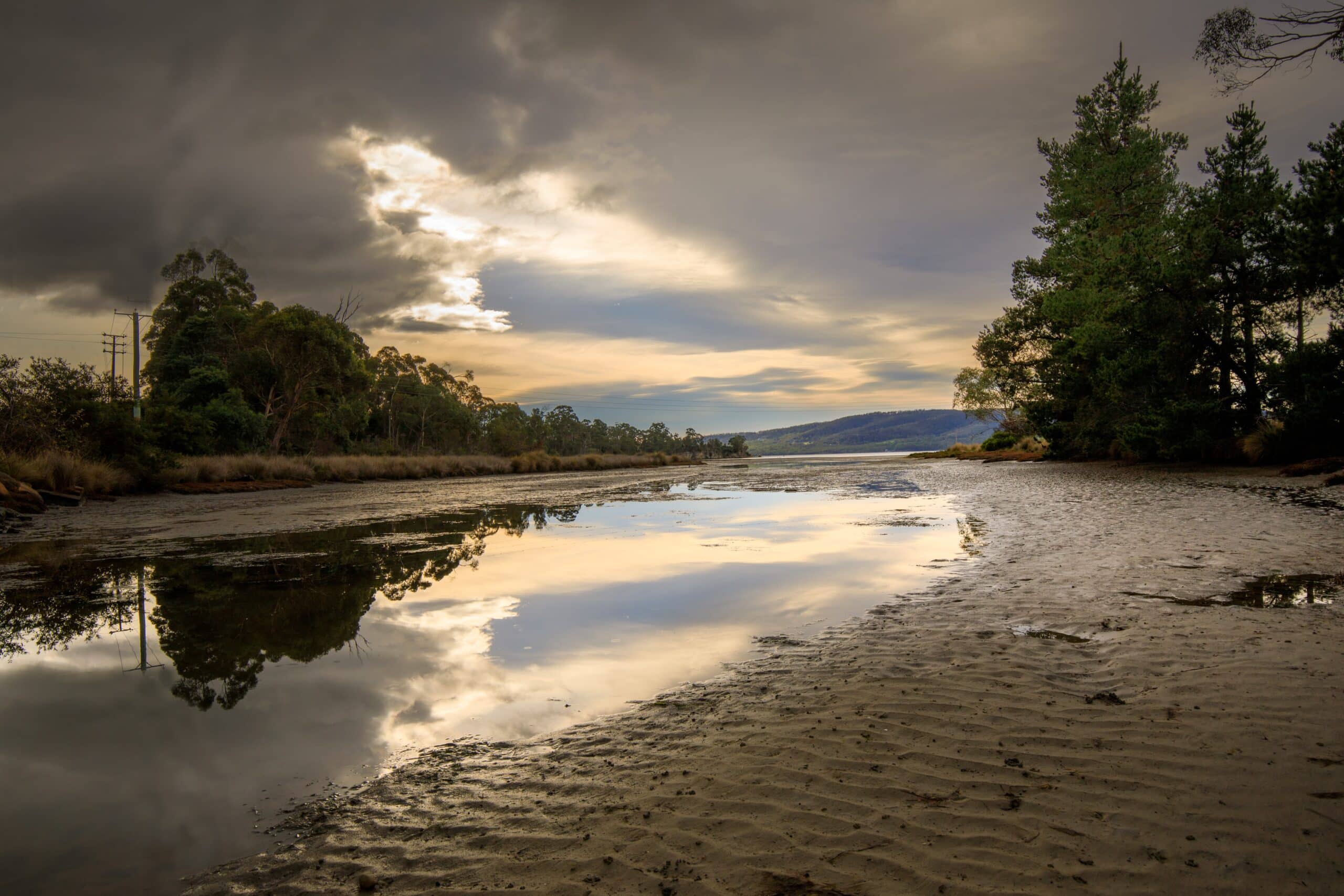 Karpervissen op modderbodems
