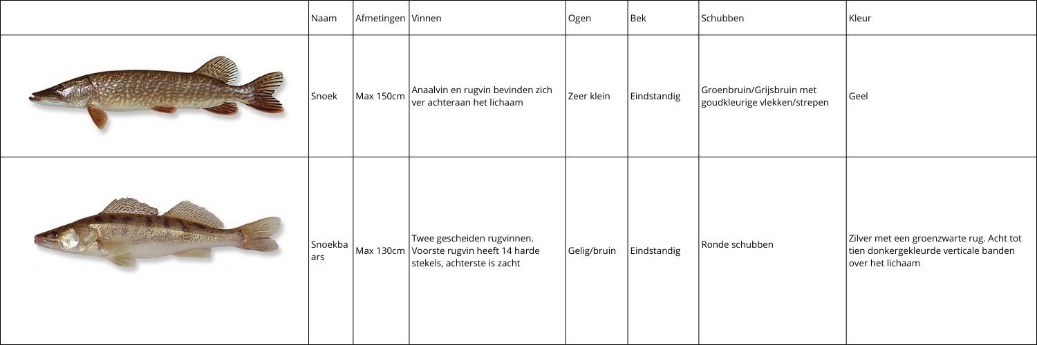 Tabel snoek snoekbaars