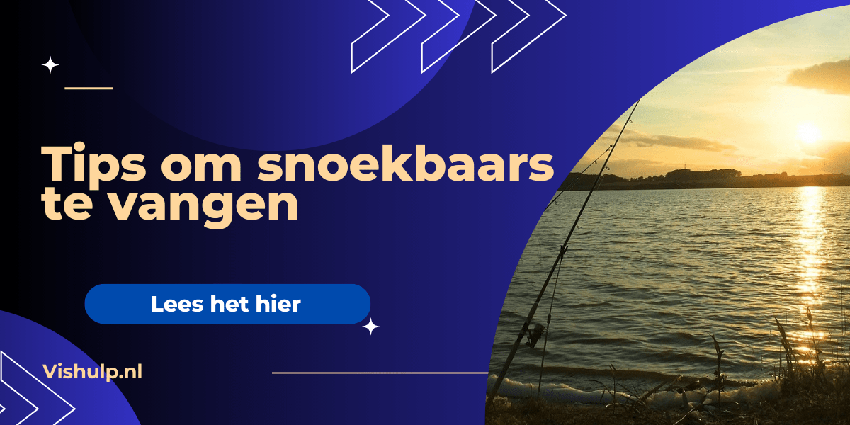 Tips om snoekbaars te vangen